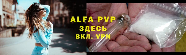 амф Инта