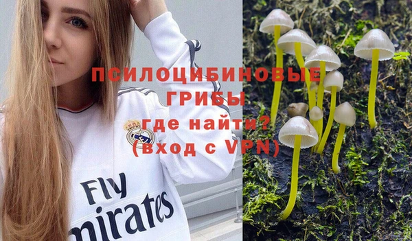 амф Инта