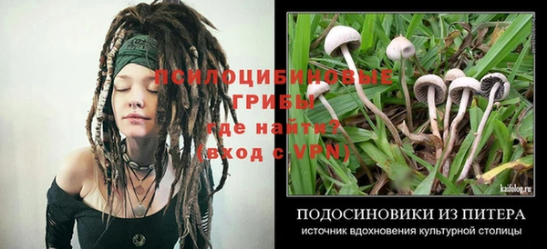 амф Инта