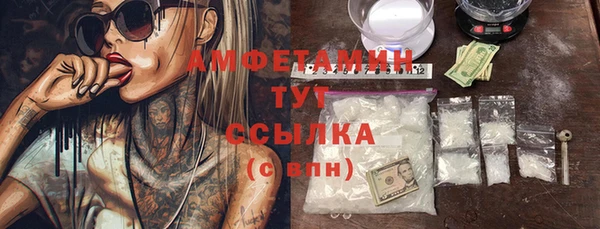 амф Инта