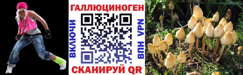 нарко площадка состав  Иннополис  Галлюциногенные грибы мицелий 